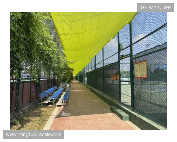 武汉网球队与西安网球队赛后复盘分析比赛节奏与关键时刻的表现