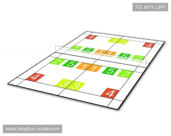 武汉羽毛球队整体压制战术解析与实战应用探讨