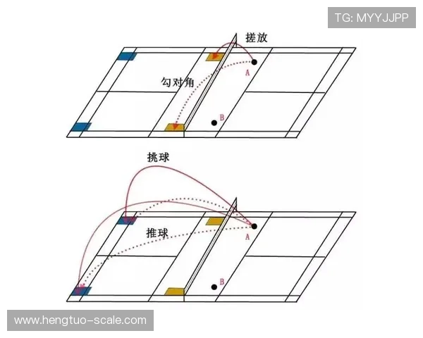 南京羽毛球队与武汉羽毛球队赛后战术分析与总结探讨