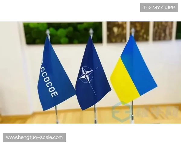 武汉排球队意识表现的深度数据分析与战术探讨